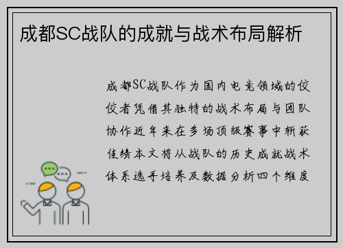 成都SC战队的成就与战术布局解析