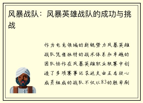 风暴战队：风暴英雄战队的成功与挑战