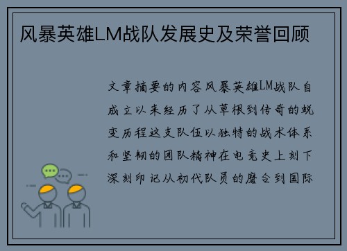 风暴英雄LM战队发展史及荣誉回顾
